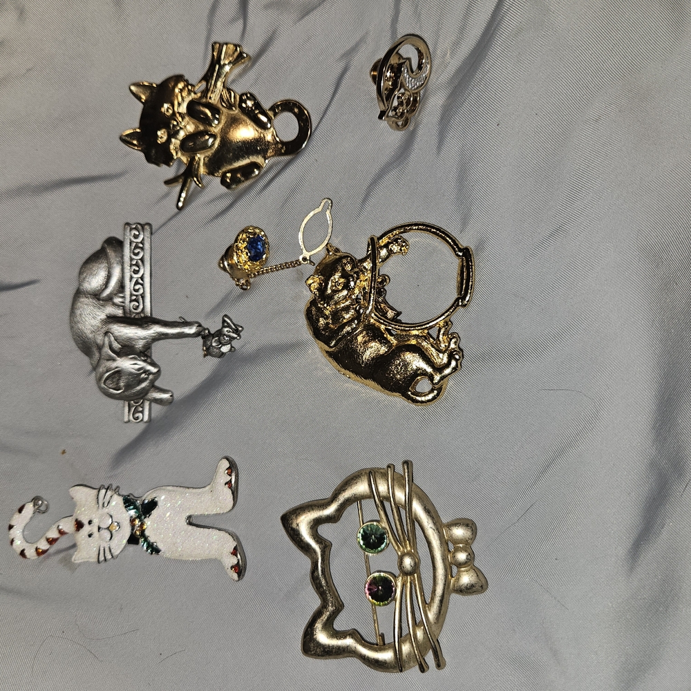 Cat-Themed Brooch and Pin Set in Gold and Silver